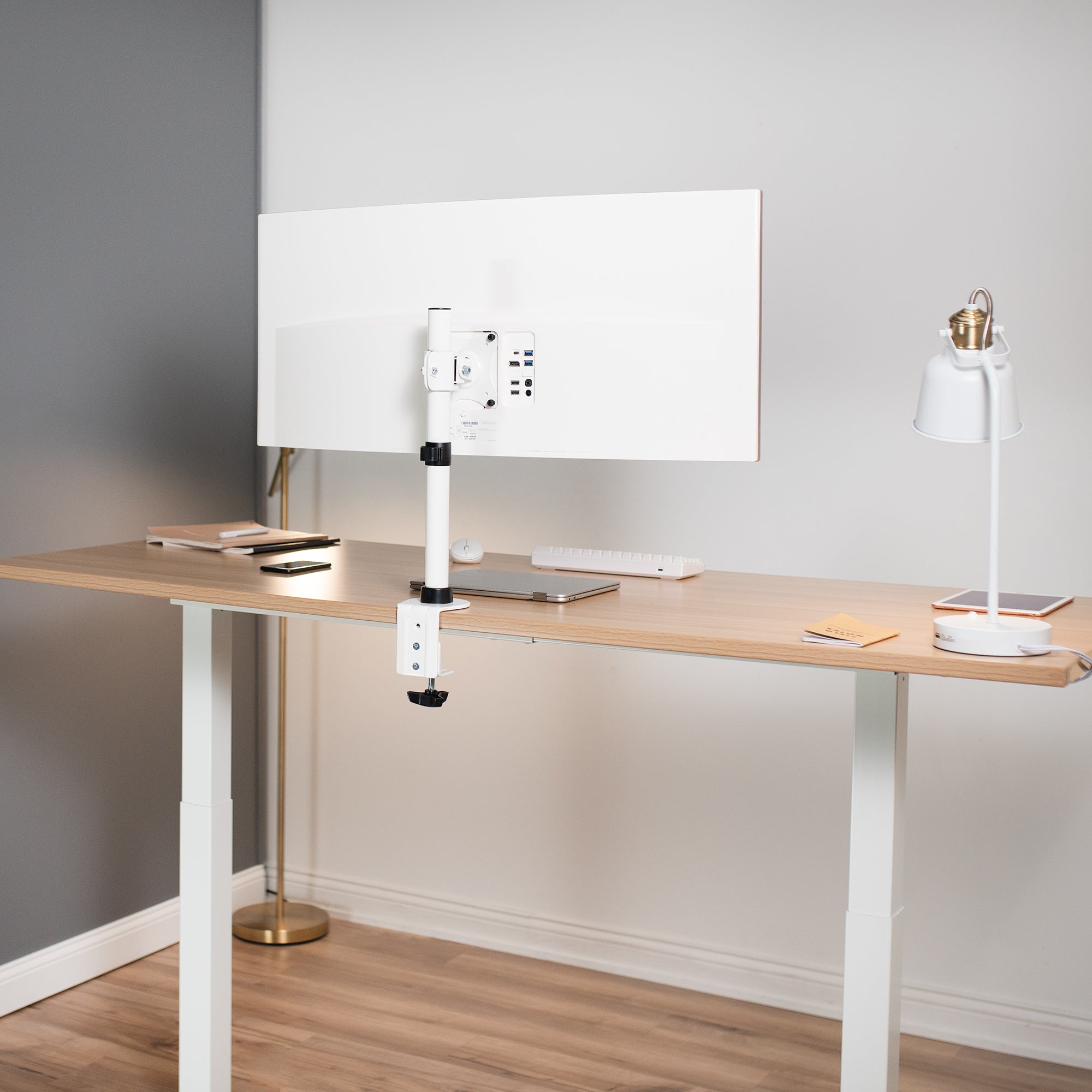Single 17" to 42" Monitor Desk Mount